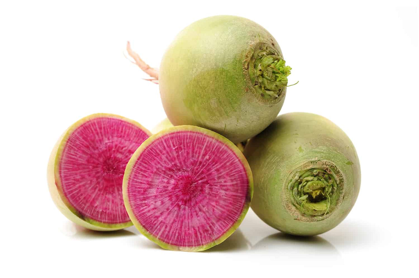 Radish - Watermelon