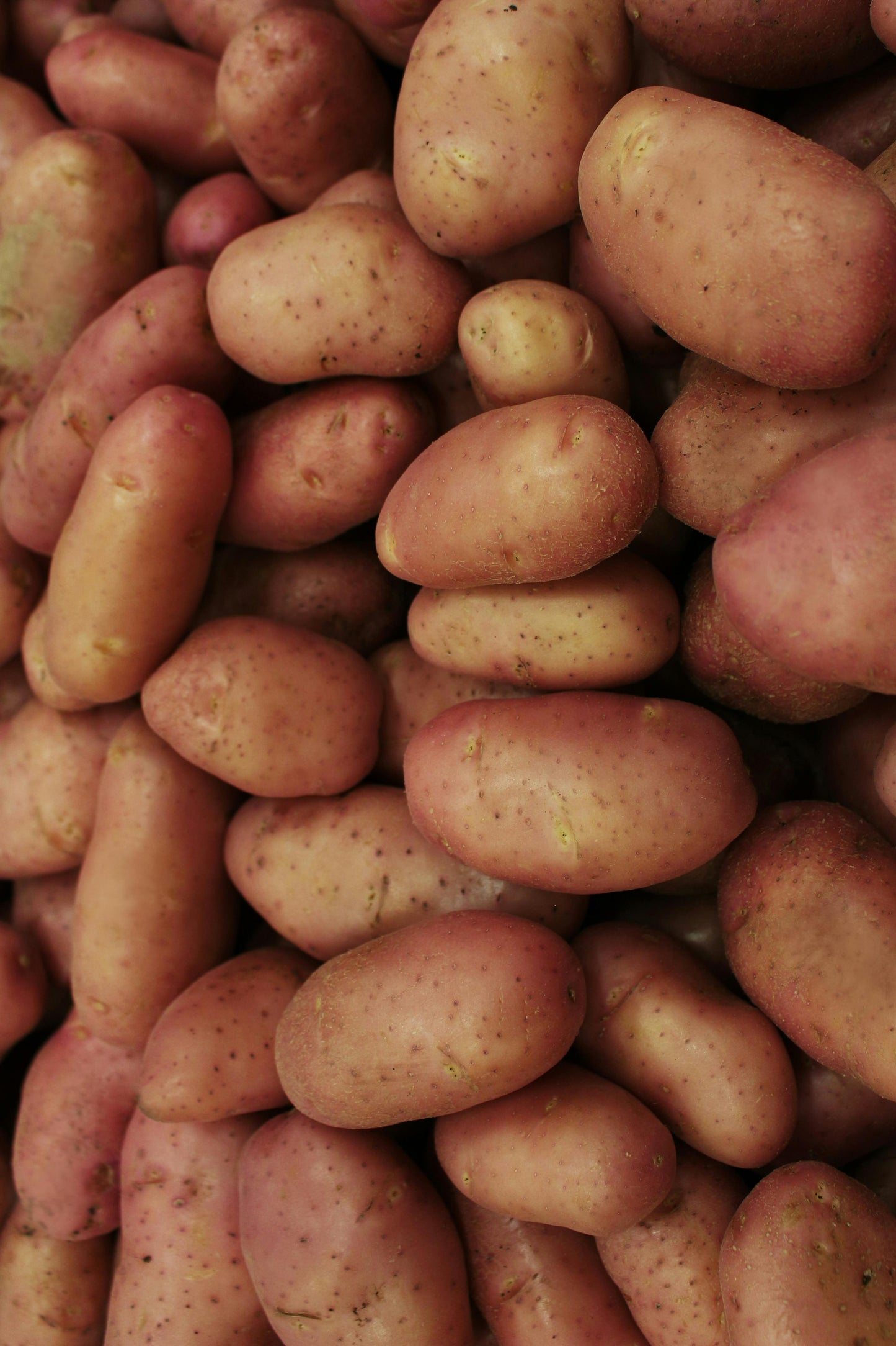 Potatoes