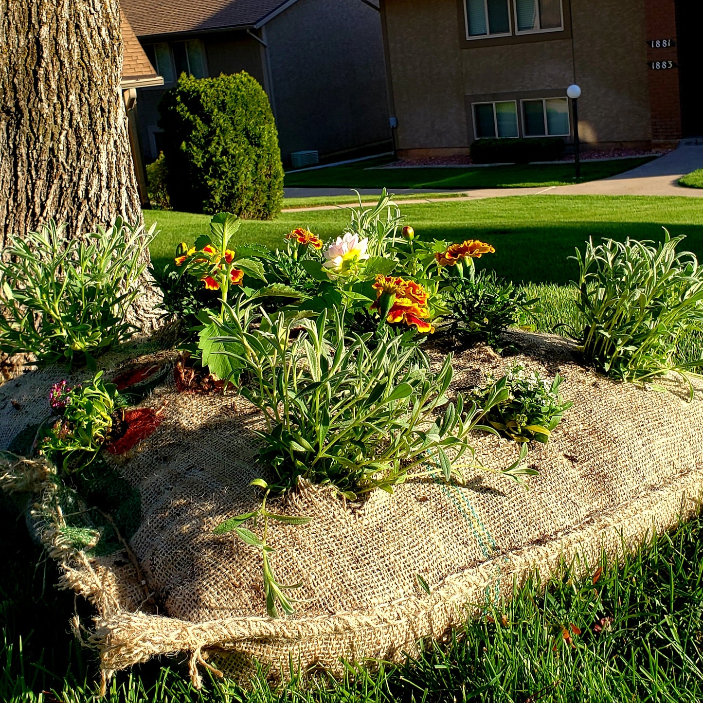 Burlap Bag