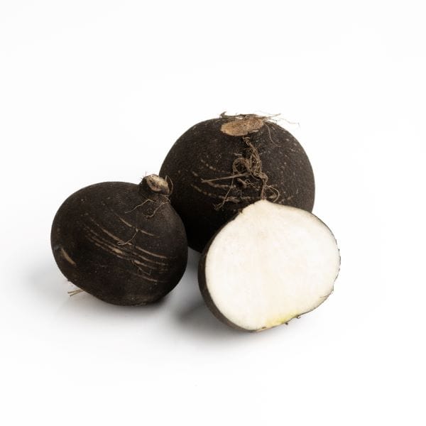 Radish - Black
