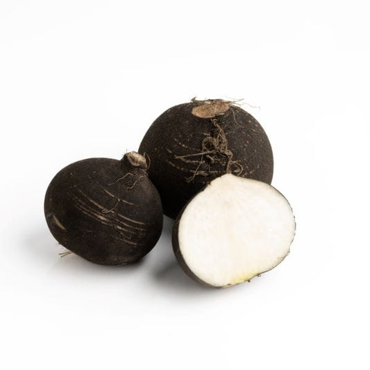 Radish - Black