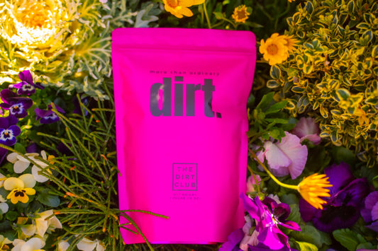 Dirt- The Dirt Club