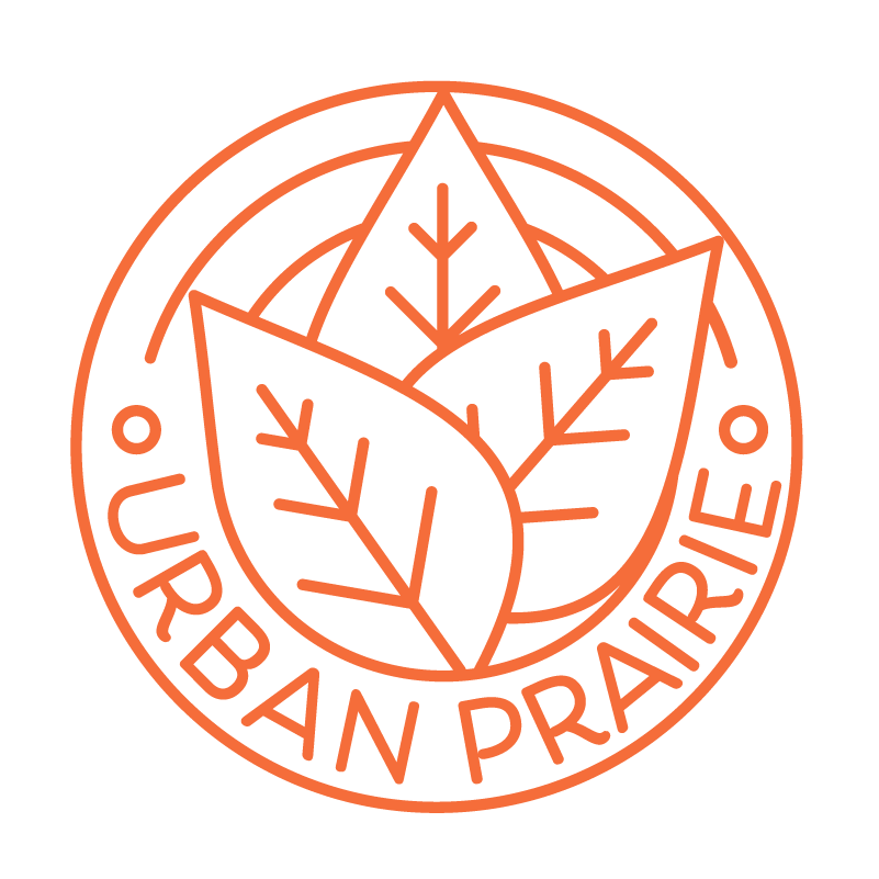 Fresh Parsley- Urban Prairie