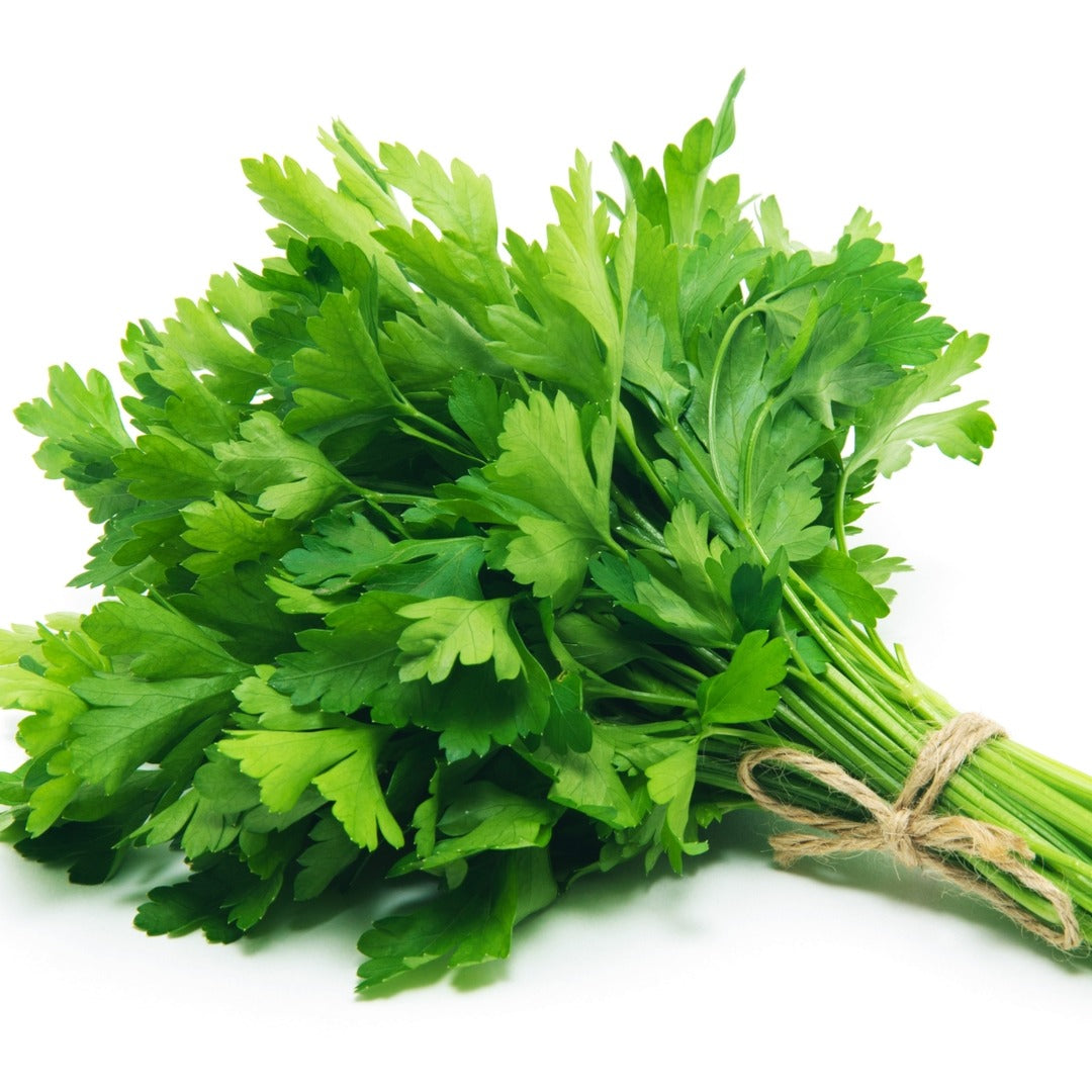 Fresh Parsley- Urban Prairie