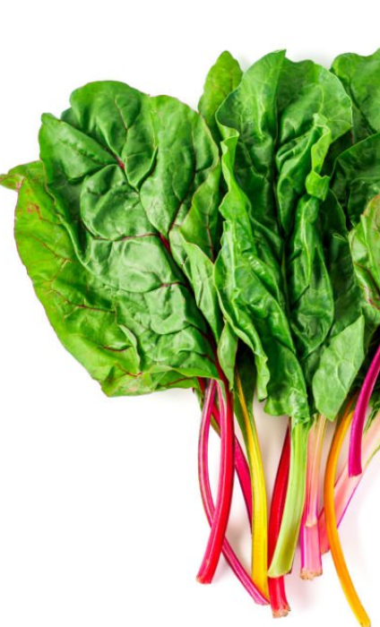 Chard