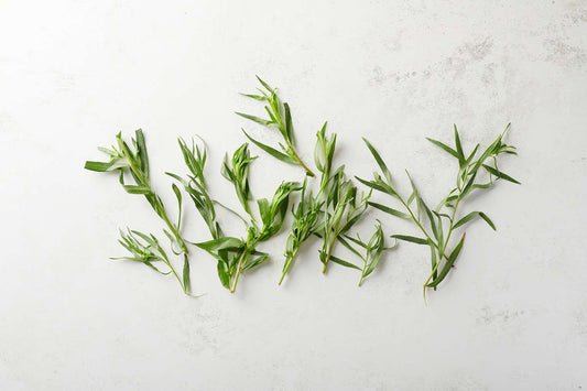 Dried Tarragon- Frog Bench Farms