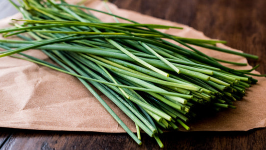 Fresh Chives- Urban Prairie