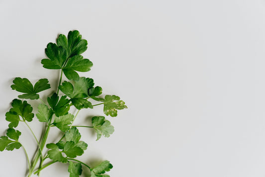 Dried Parsley- Frog Bench Farms