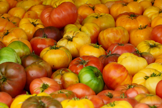 Tomatoes