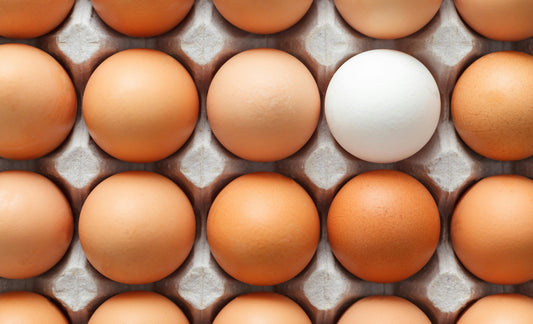 Eggs - Regular